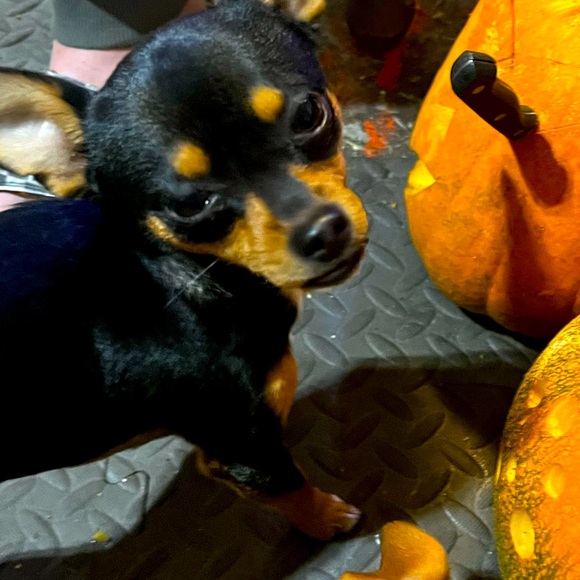 Meet your Posher, MW - Picture 1 of 1